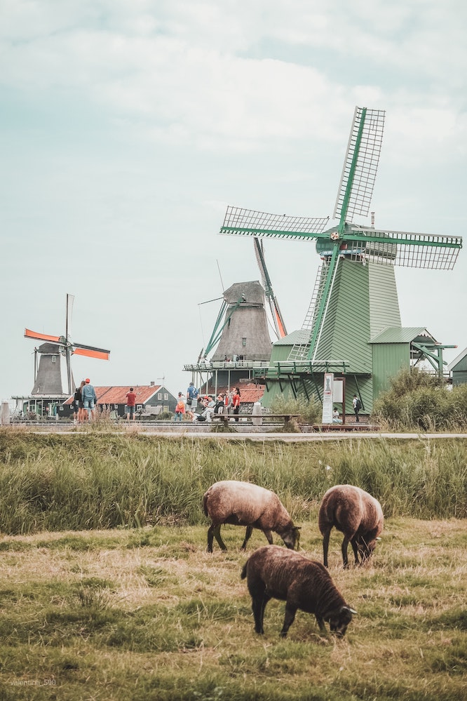 Professionele Nederlandse moedertaalvertalers
