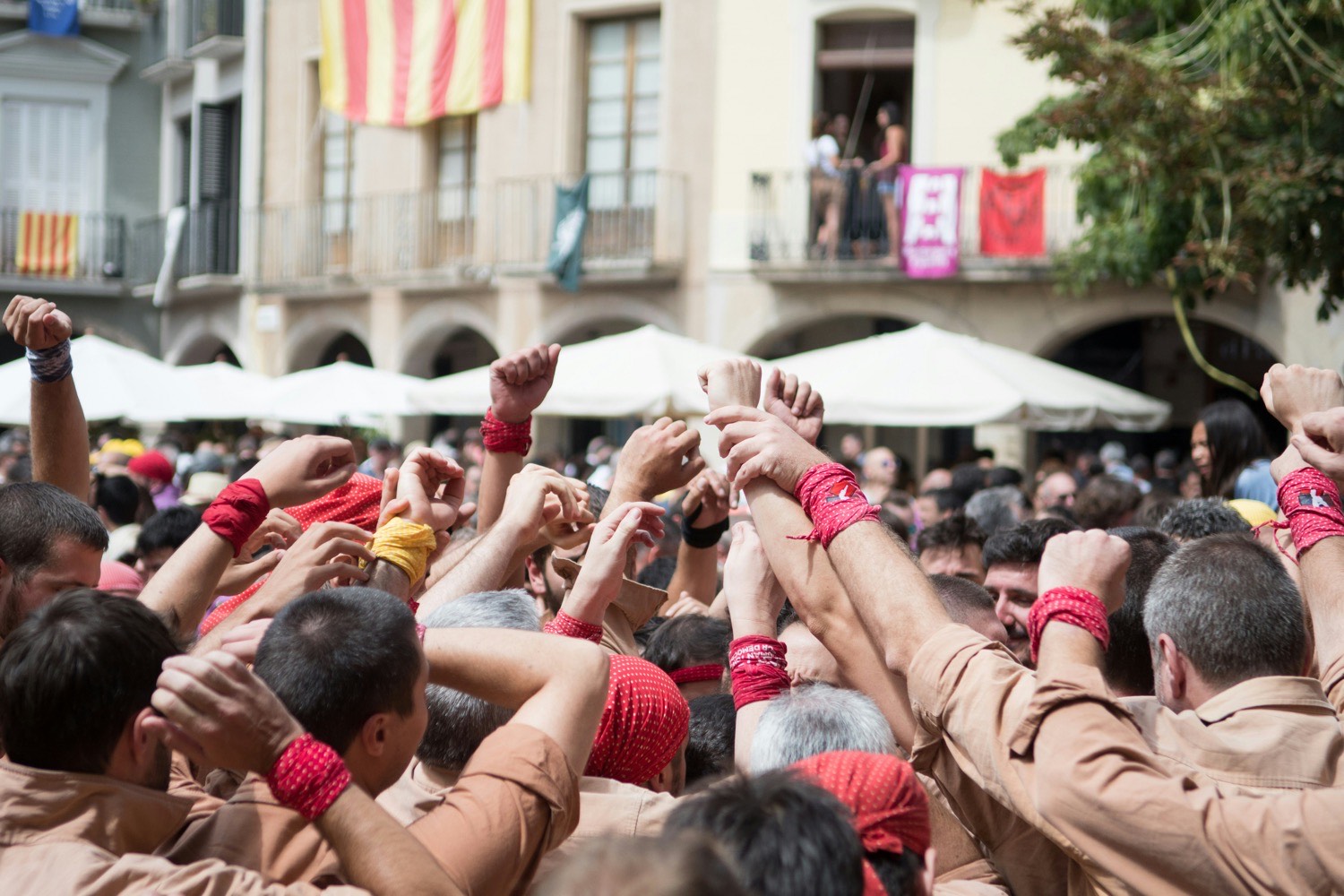 Professional Catalan translator