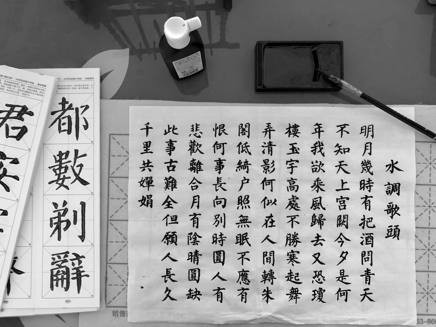 Professional Chinese translator