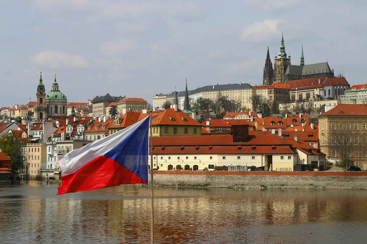 Professional Czech translator