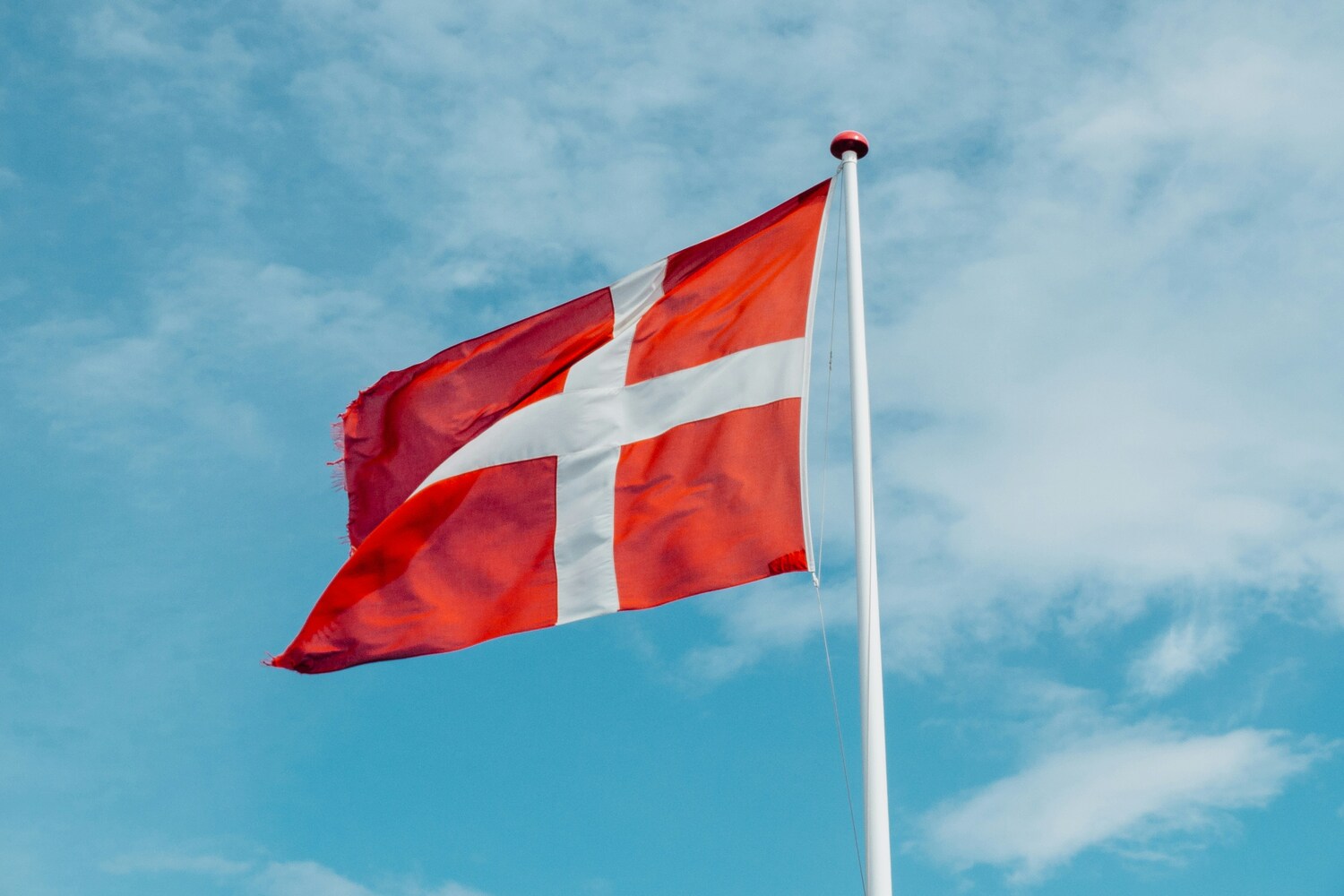 Professional Danish translator