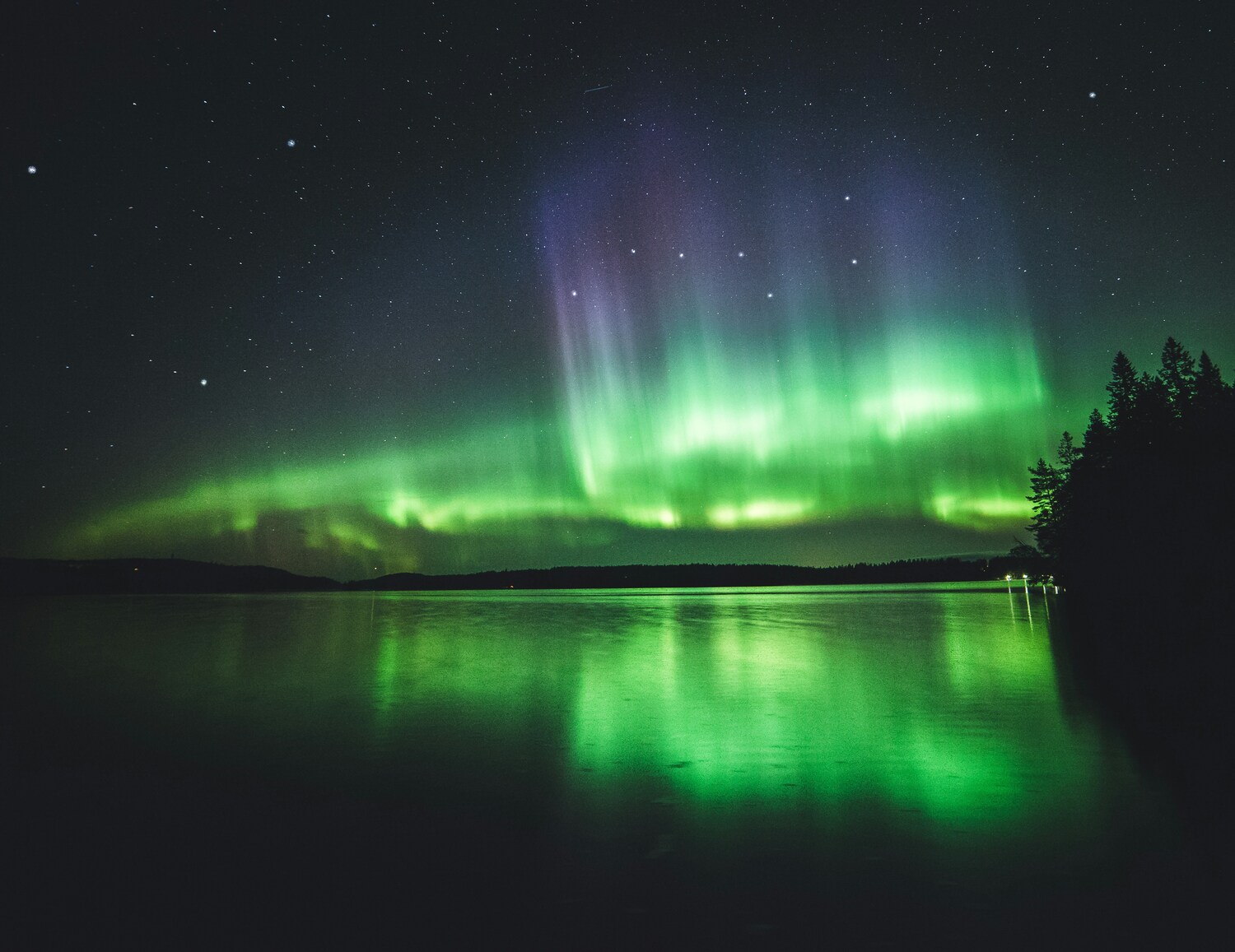 Professional Finnish translator for businesses