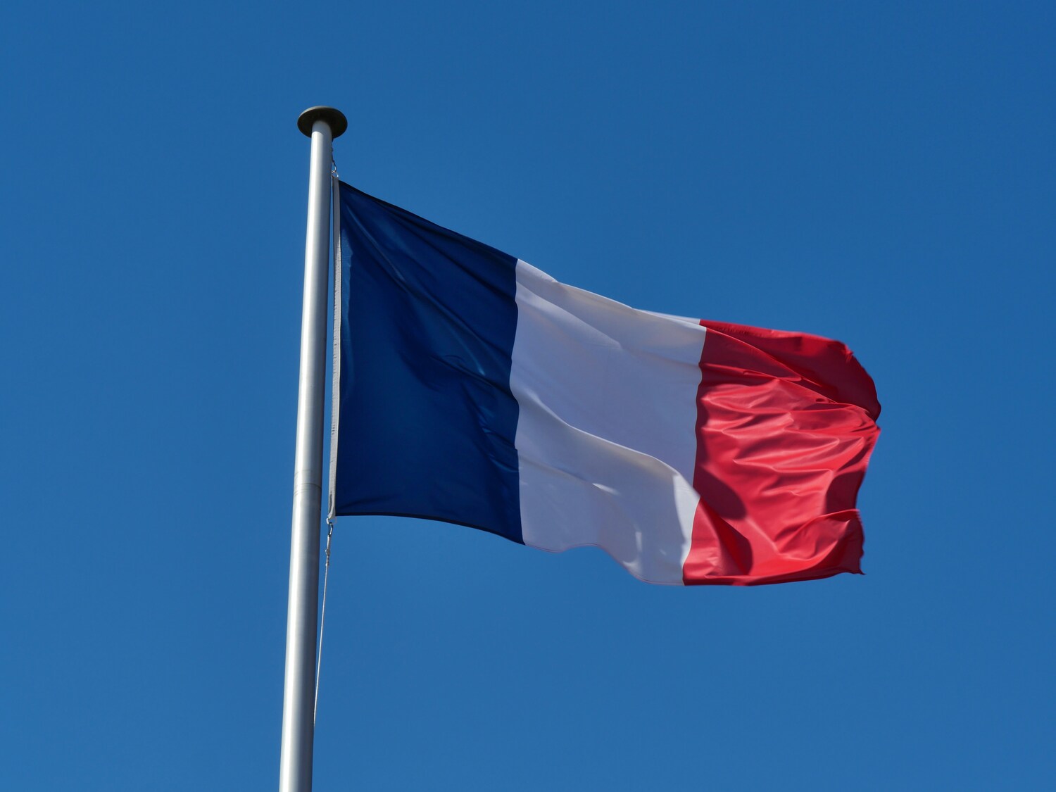 Professional French translator for businesses