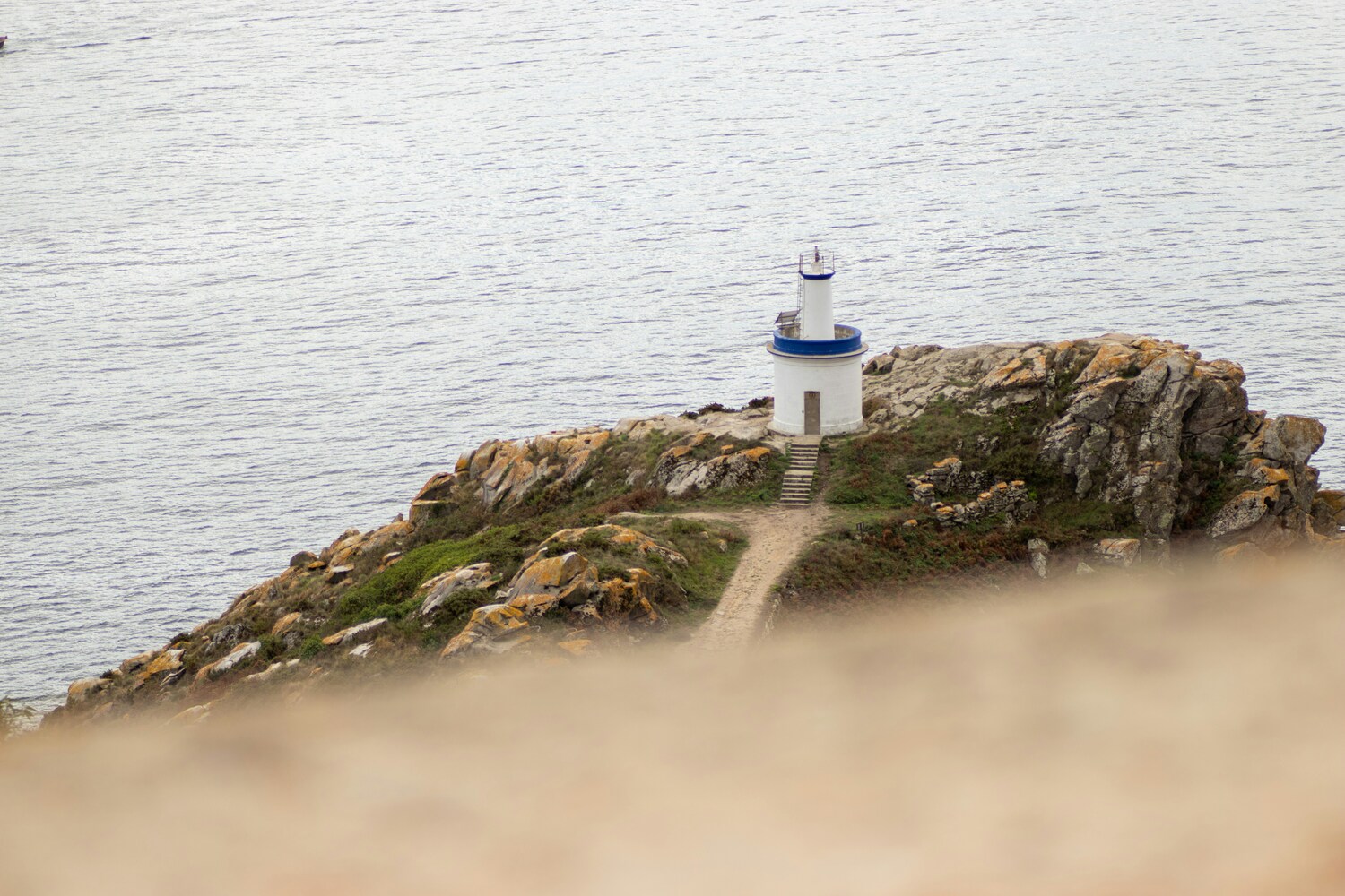 Professional Galician translator for businesses