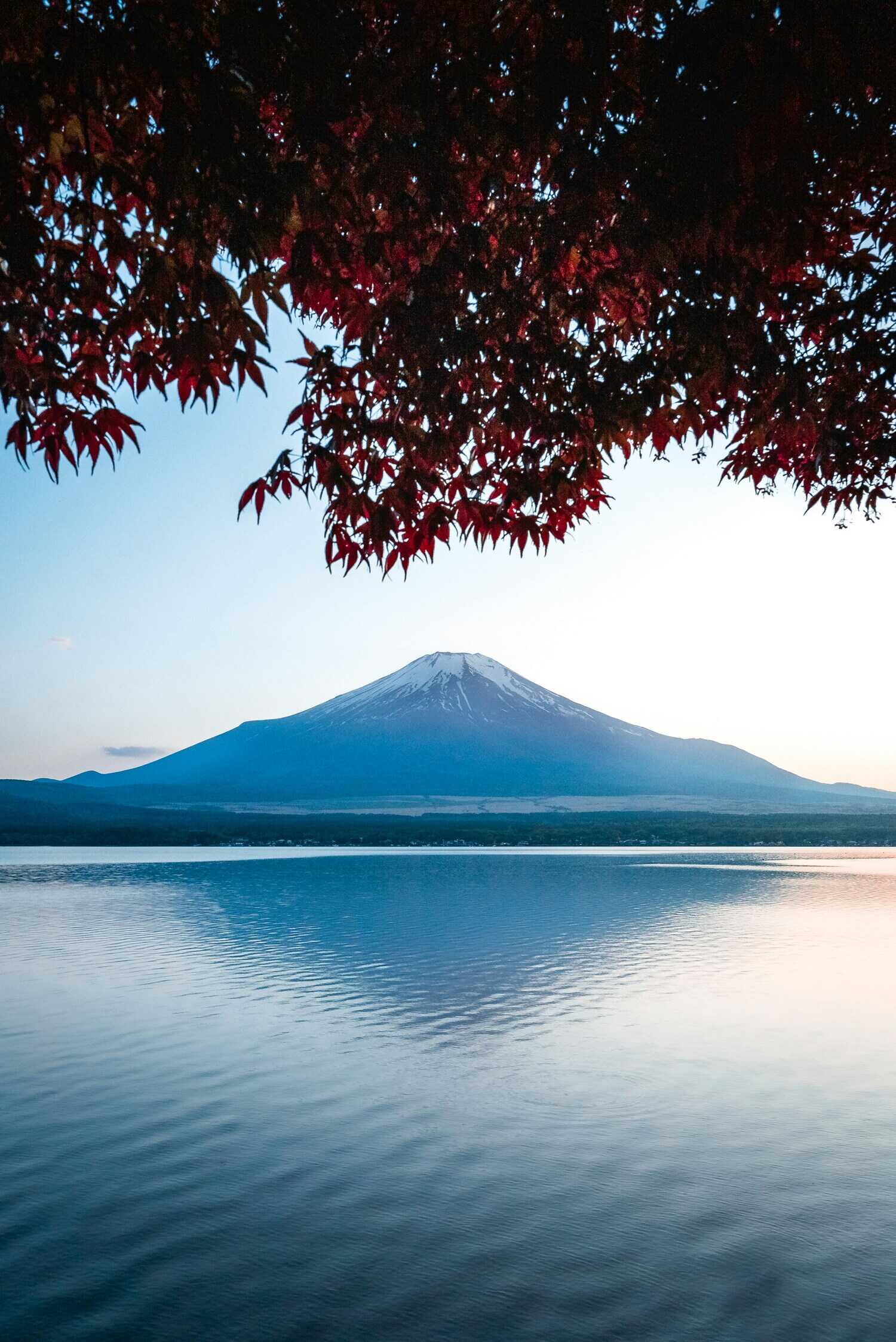 Japanese translation for businesses operating in Japan