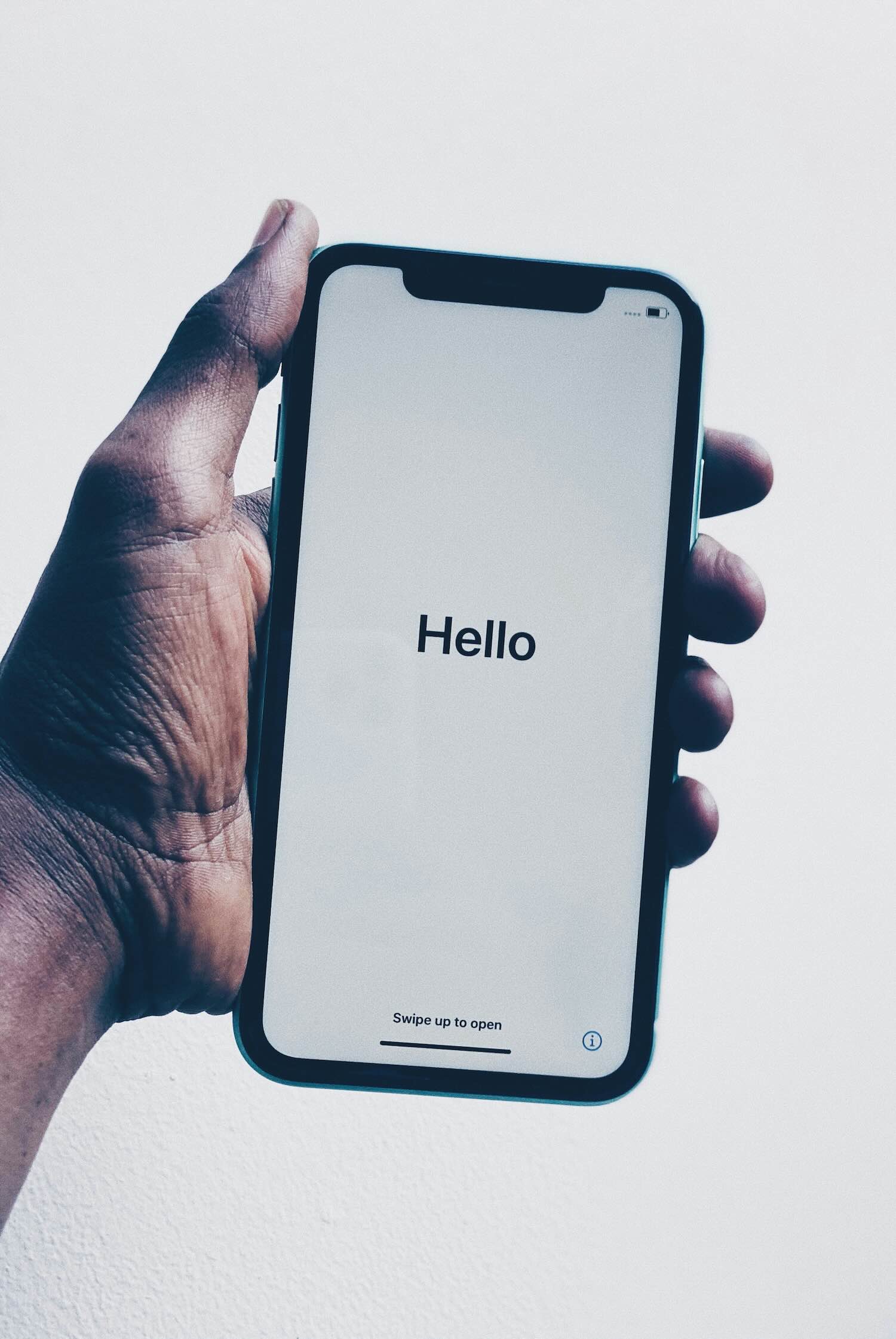 Professional website translation