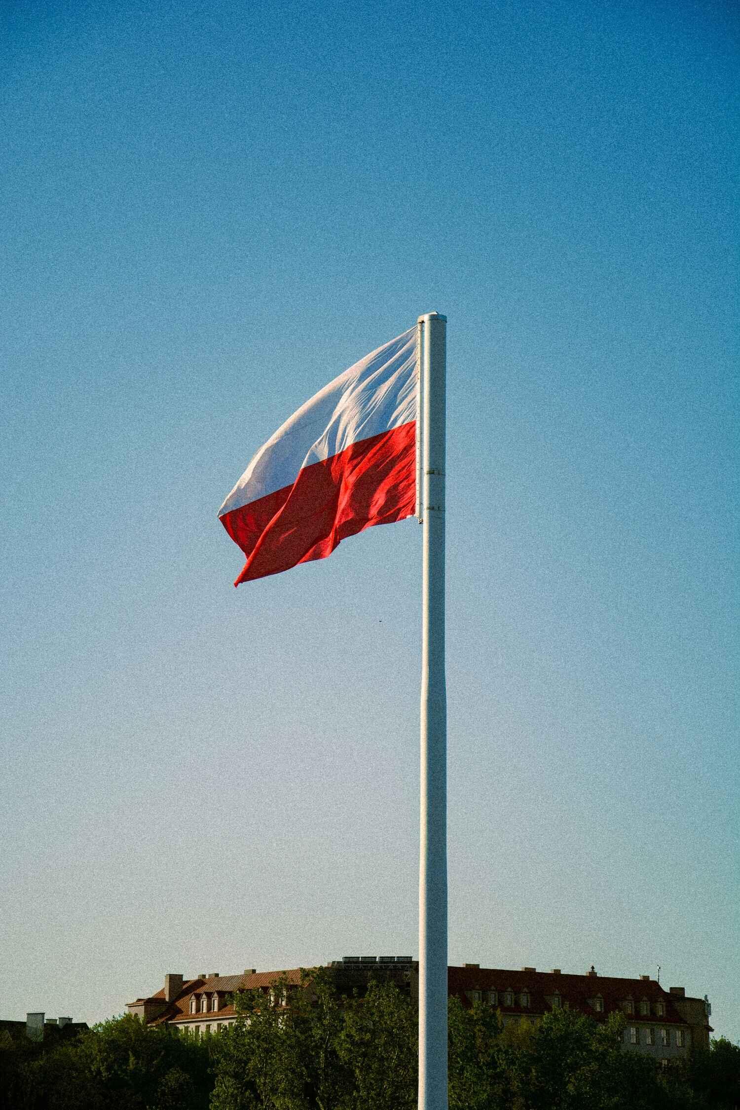 Polish translation for businesses operating in Poland