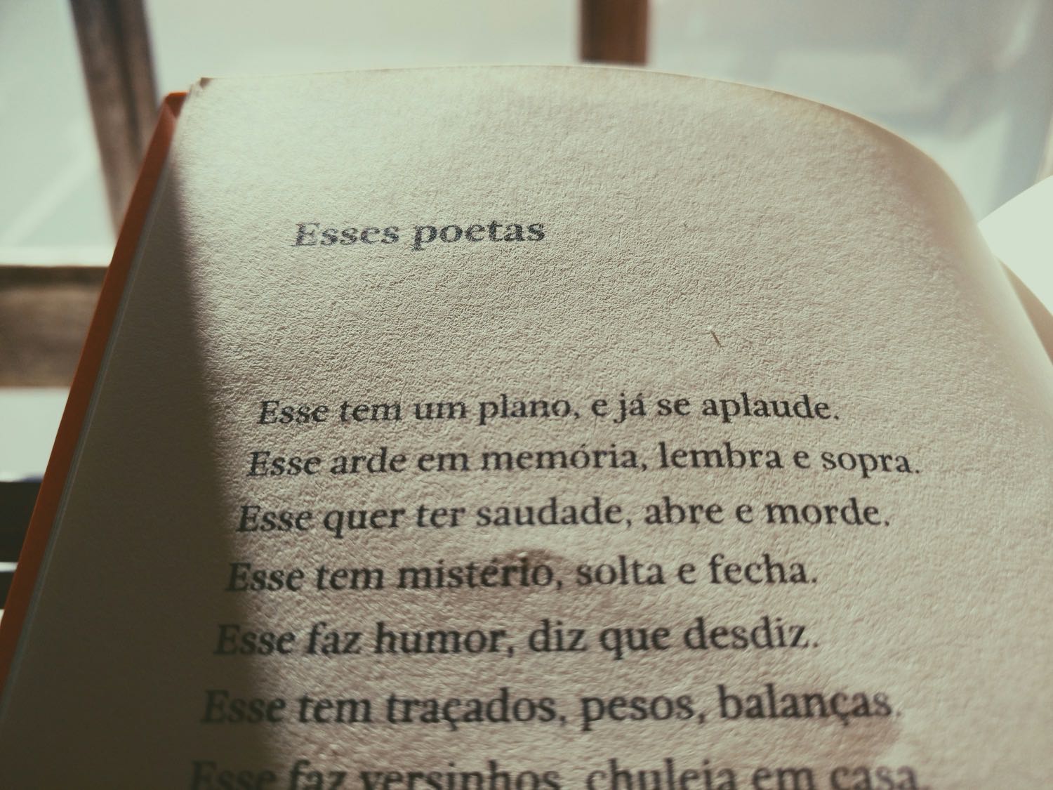Professional Portuguese translator