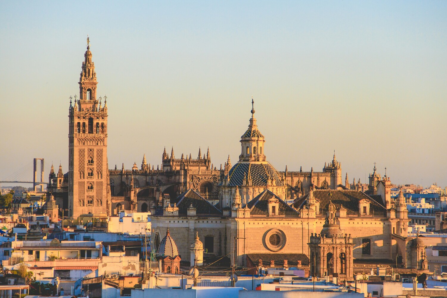 Professional Spanish translator for businesses