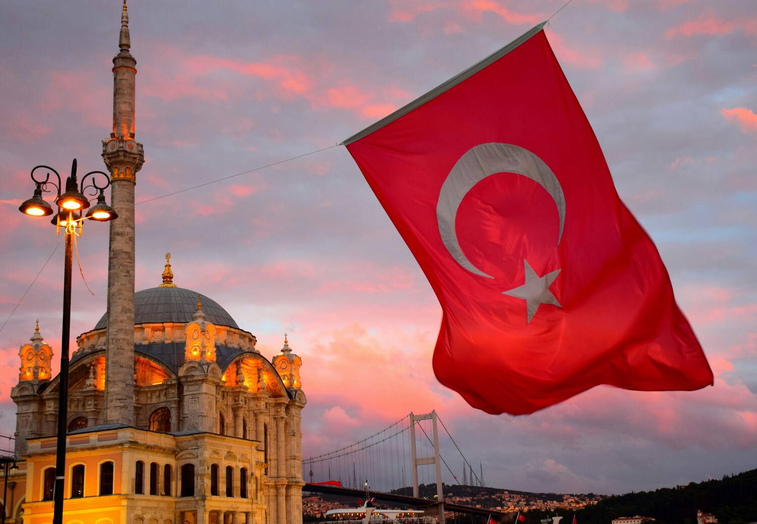 Professional Turkish translator
